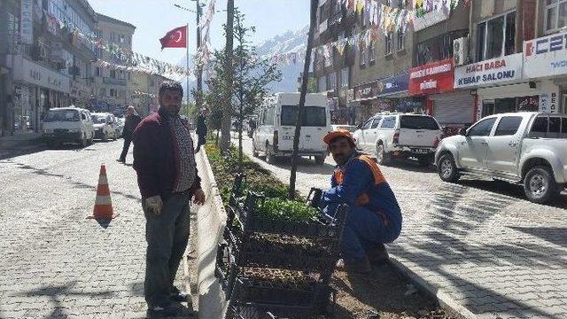 Hakkari Belediyesi’nden Yeşillendirme Çalışması