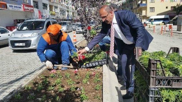 Hakkari Belediyesi’nden Yeşillendirme Çalışması