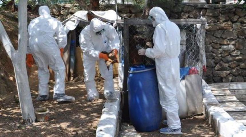 Menderes'te Kuş Gribi &Ccedil;ıkan Mahalle Karantina Altında