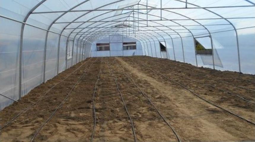 H&uuml;k&uuml;ml&uuml;ler Tarımla Uğraşacak