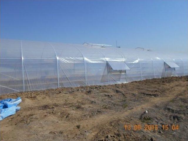 H&uuml;k&uuml;ml&uuml;ler Tarımla Uğraşacak 1