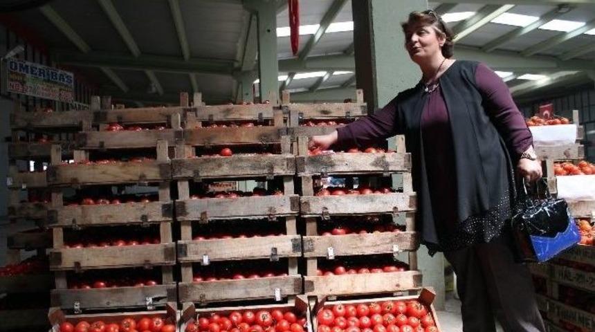 Ak Parti Milletvekili Adayı Sıvacı Se&ccedil;im &Ccedil;alışmalarını S&uuml;rd&uuml;r&uuml;yor