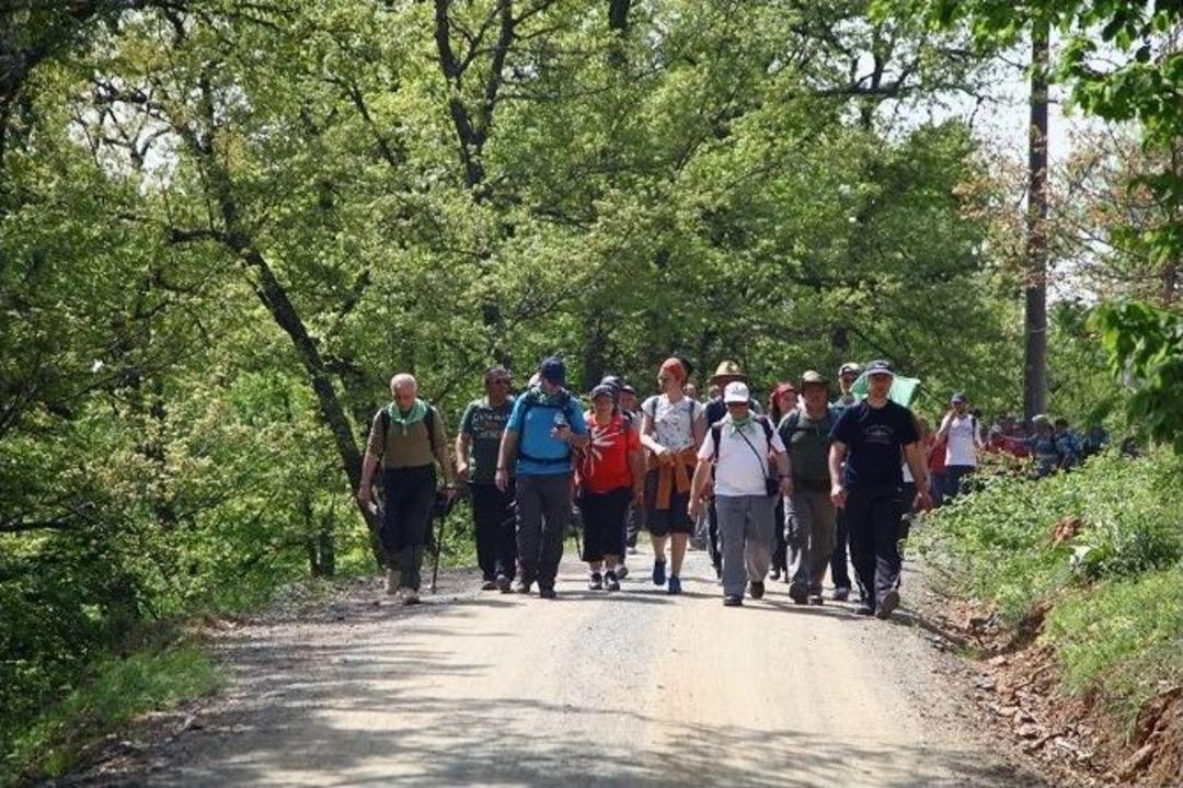 Ercova Yaylasında Y&uuml;r&uuml;d&uuml;ler