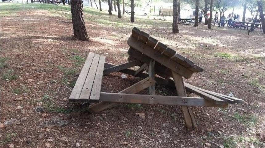 Ali Dağı Mesire Alanında Piknik Masaları Kırıldı