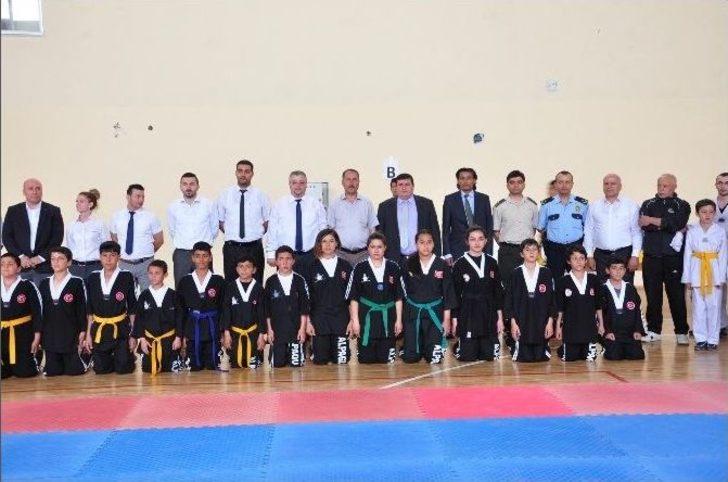 Judo Alpagu Türkiye Şampiyonası Yozgat’ta Başladı