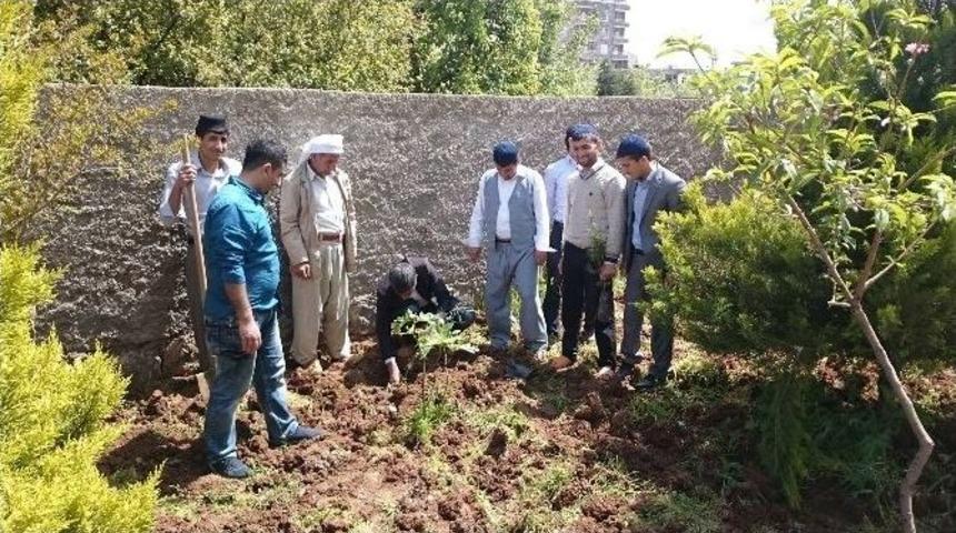 İdil Tema &Ccedil;alışmalarına Devam Ediyor