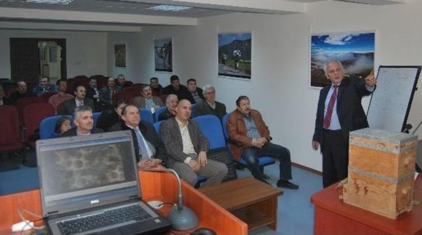 B&uuml;y&uuml;kşehir Okul Gibi