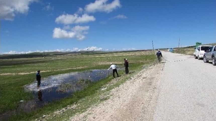 Tuşba Belediyesi&rsquo;nden Haşereyle M&uuml;cadele &Ccedil;alışması