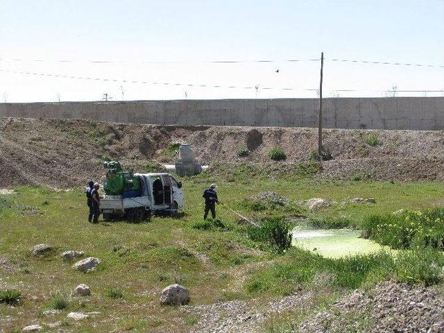 Tuşba Belediyesi’nden Haşereyle Mücadele Çalışması