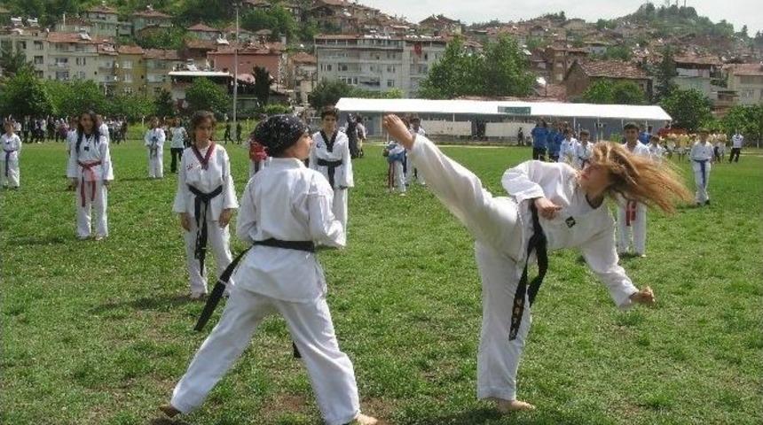 Niksar&rsquo;da Gen&ccedil;lik 19 Mayıs&rsquo;ta Buluştu