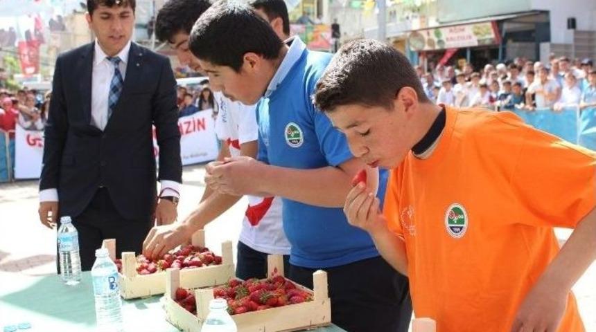 Sason&rsquo;da 19 Mayıs Kutlamalarına Yerli &Ccedil;ilek Yarışması Eklendi