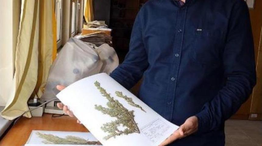 Kayseri&rsquo;Nin Herbaryumu Er&uuml;&rsquo;De