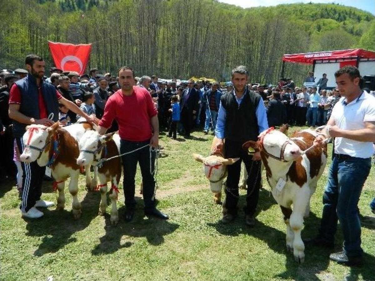 Posof&rsquo;ta 19 Mayıs Coşkusu