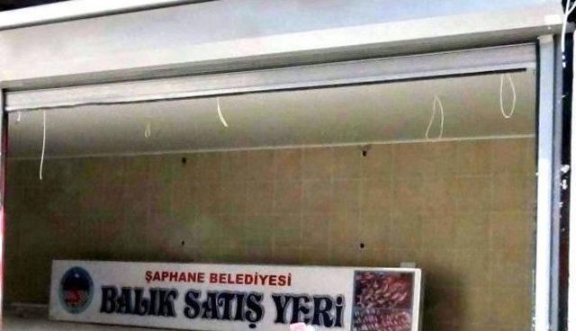 Tasarruf&ccedil;u Başkan Şaphane ye &Ccedil;ağ Atlatıyor 3