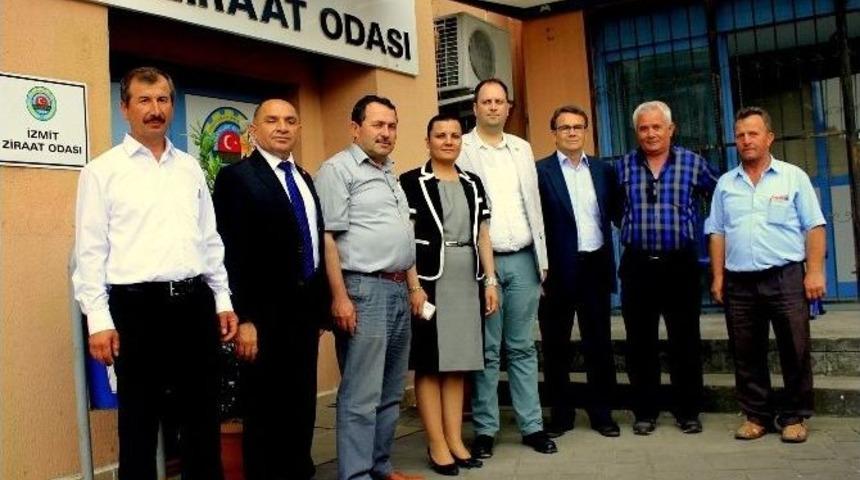 Chp Milletvekili Adayı Tarhan Ziyaretlerine Devam Ediyor