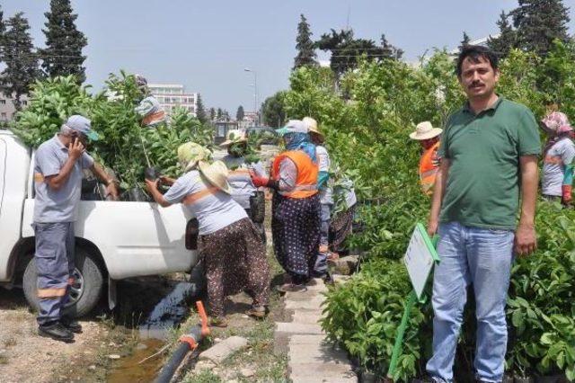 Doğadan Kazandığını Doğaya Harcadı