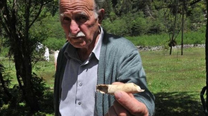 Ka&ccedil;karlar'da 2 Milyon Yıllık Mamut Dişi Heyecanı