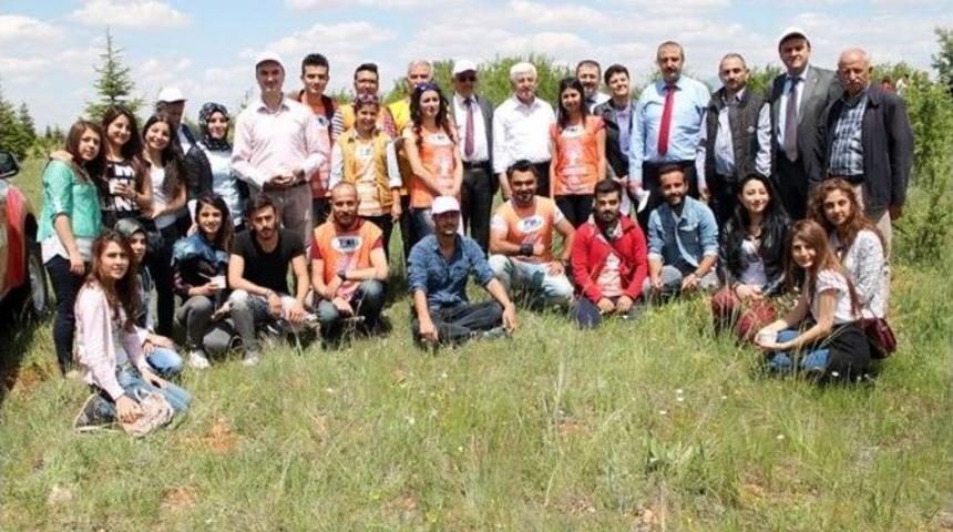 Kazım Karabekir Meslek Y&uuml;ksekokulu Ağa&ccedil;landırılıyor