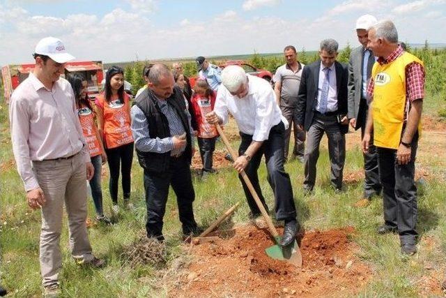 Kazım Karabekir Meslek Yüksekokulu Ağaçlandırılıyor