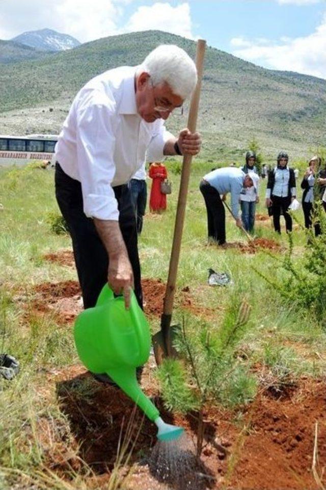 Kazım Karabekir Meslek Yüksekokulu Ağaçlandırılıyor