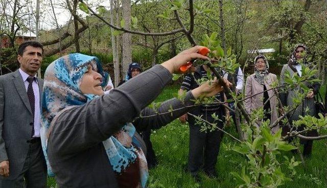 Büyükşehir’den Modern Meyvecilik Ve Çilek Yetiştiriciliği Eğitimi