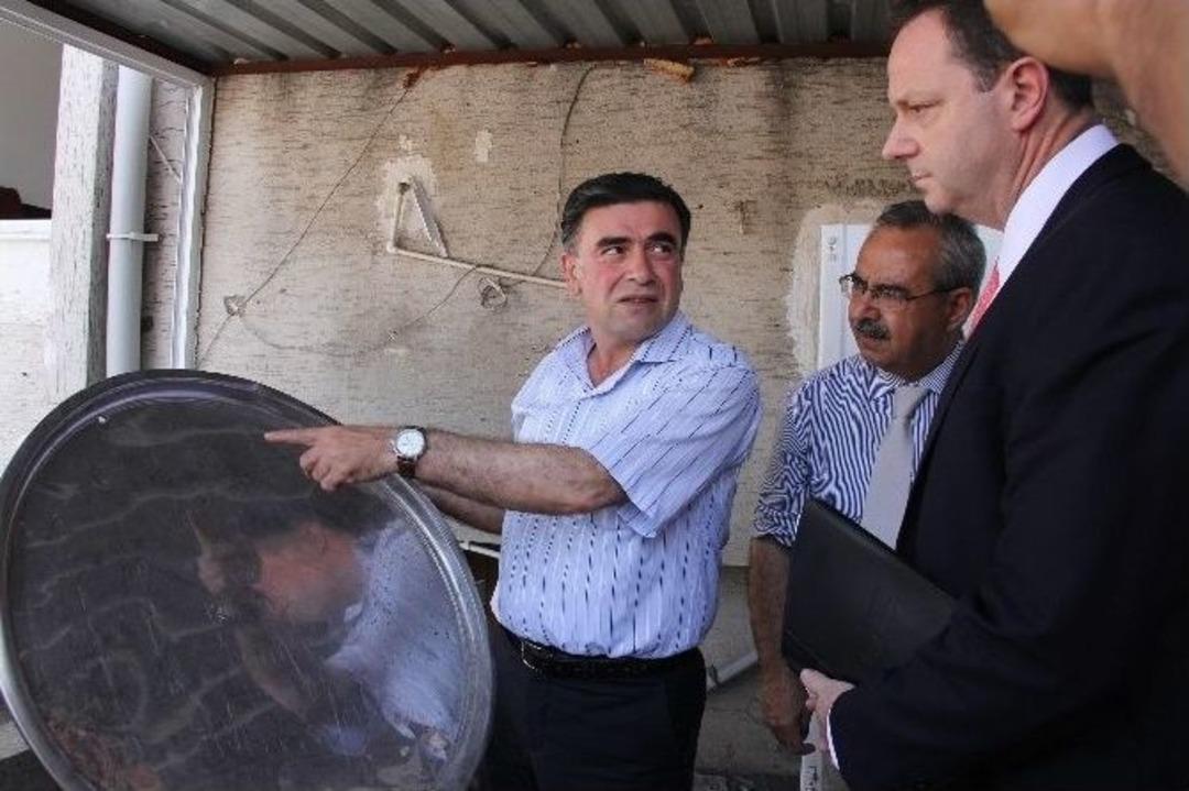 Abd&rsquo;li M&uuml;steşar Frıedman: "adil Ve D&uuml;r&uuml;st Bir Se&ccedil;im Olmasını İstiyoruz"