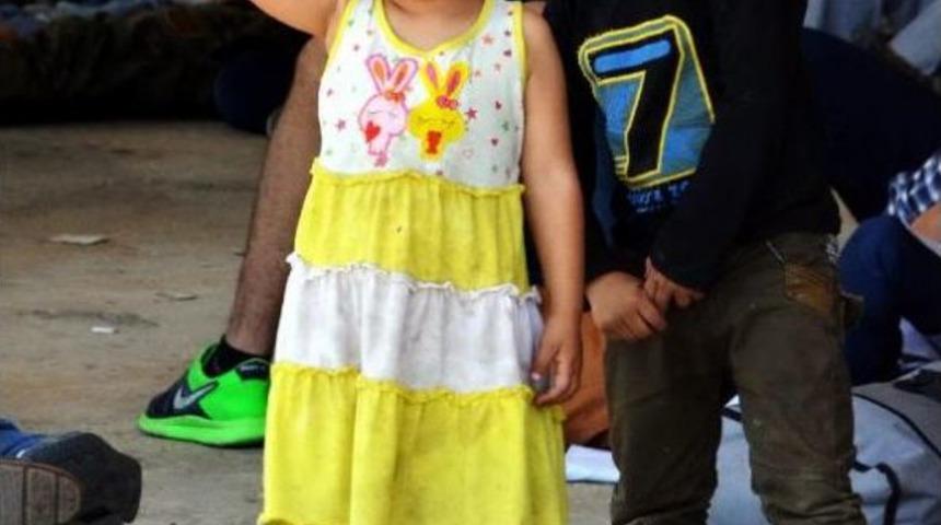 Alkollü İngiliz Kaptan Yönünü Şaşırınca, Suriyeli Kaçaklar Kendilerini Sahil Güvenliğe Ihbar Etti