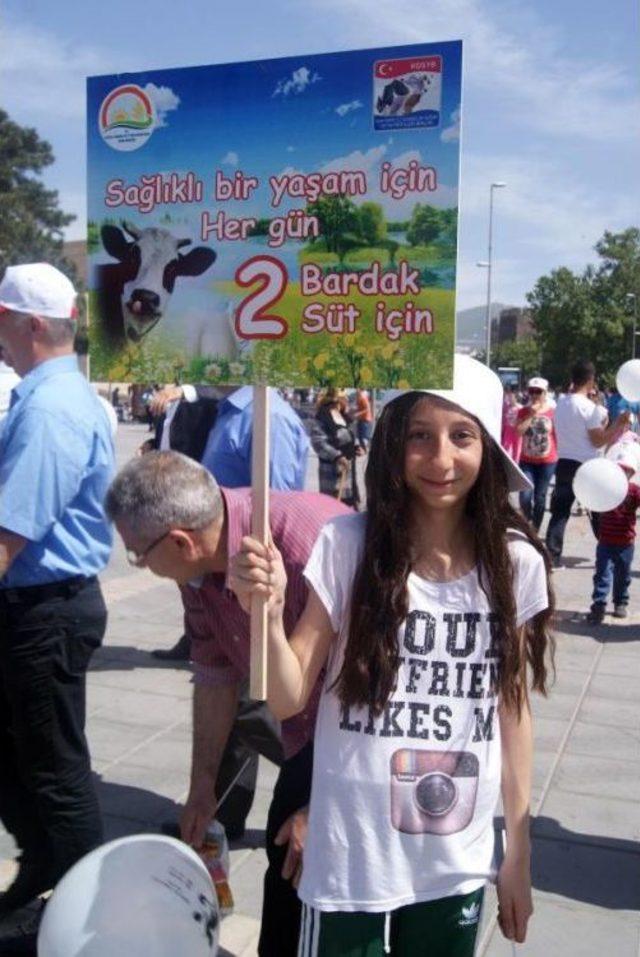 D&uuml;nya S&uuml;t G&uuml;n&uuml; nde 5 Bin Litre S&uuml;t Dağıttılar 1