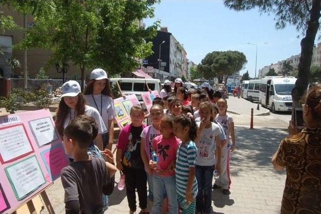 Lapseki İlçesinde Çevre Gönüllüleri Sergisi