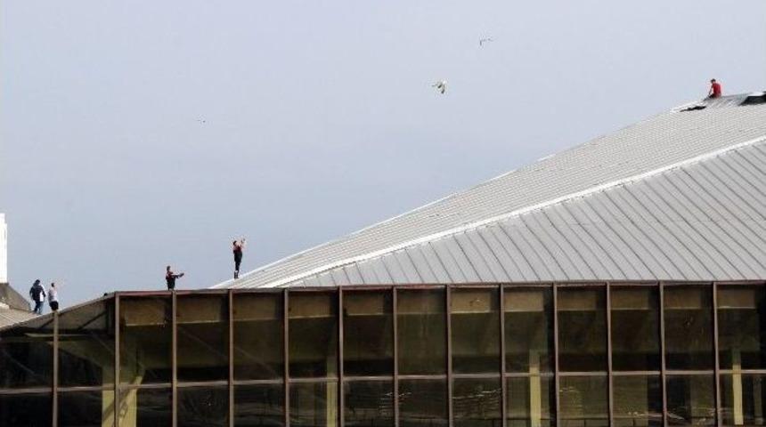 &ldquo;&ccedil;ift Cinsiyetliyim&rdquo; Dedi İntihara Kalkıştı