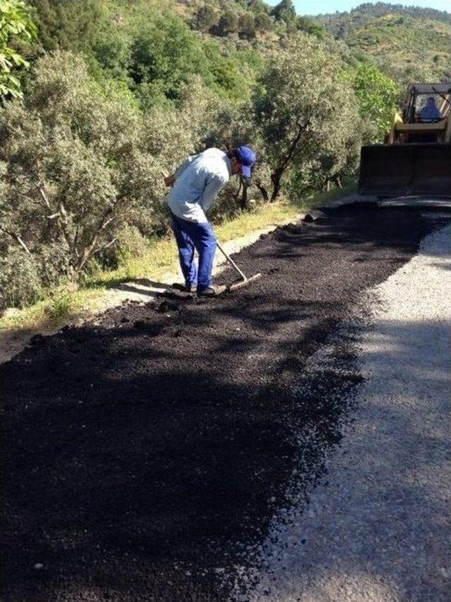 Köşk Belediyesi Bozuk Yollara Et Attı