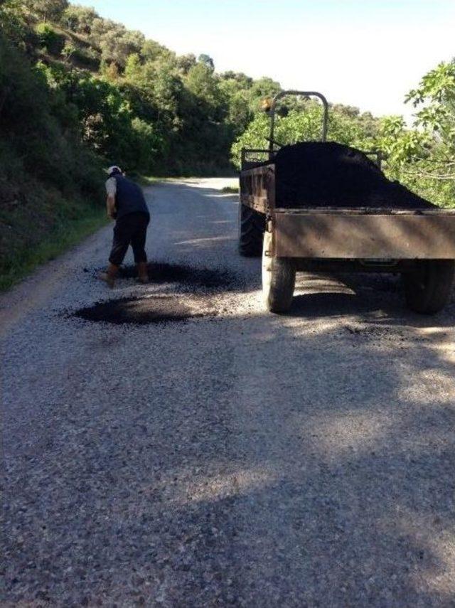 Köşk Belediyesi Bozuk Yollara Et Attı