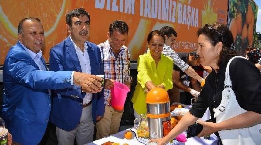 Tanıtım &Ccedil;alışmaları İle Portakal &Uuml;retimi 60 Bin Tona Y&uuml;kseldi