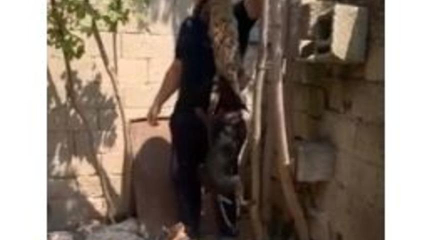 Hayvanseverler Kırklareli&rsquo;deki Kedi Katiline Eskişehir İle Emsal Dava İstiyor