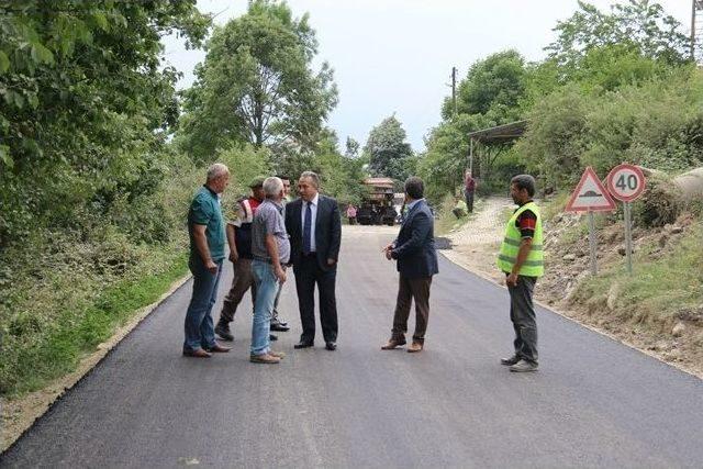 Vali Ali Fidan Yerinde İnceledi 1