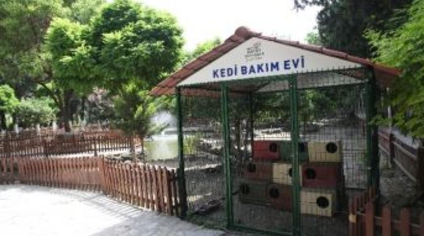 Hatay B&uuml;y&uuml;kşehir Belediyesi&rsquo;nden Sokak Hayvanlarına Yardım Eli