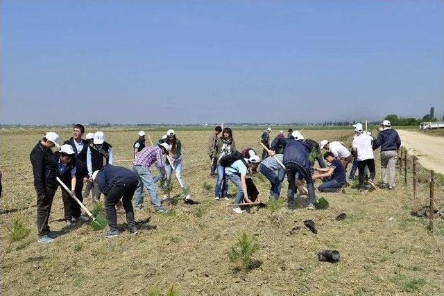 6 Bin Fidan Toprakla Buluştu 1