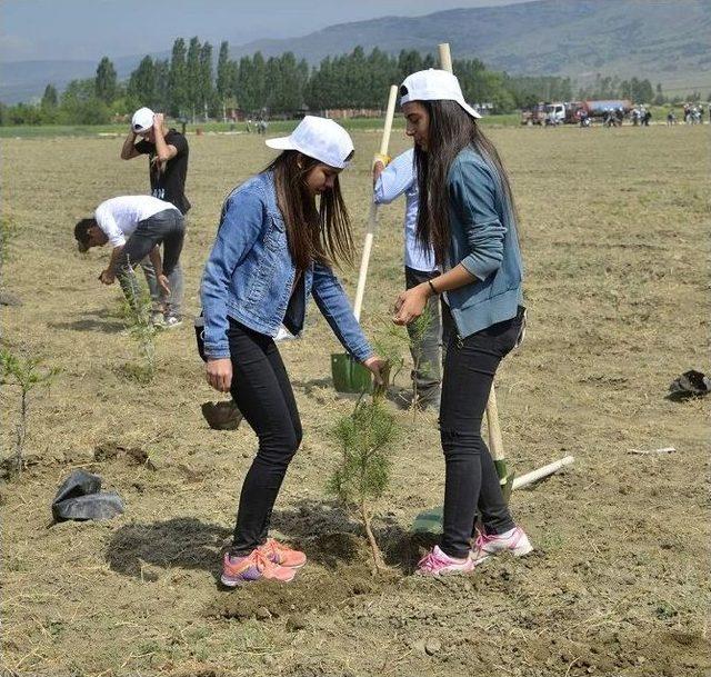 6 Bin Fidan Toprakla Buluştu 3