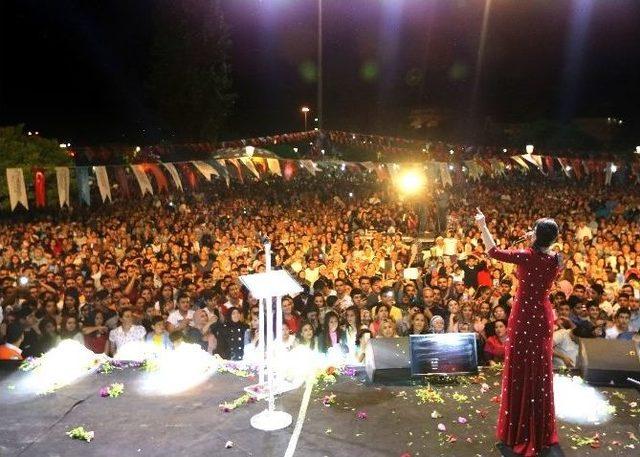 5. Hemşehri Dernekleri Festivali Başladı 1