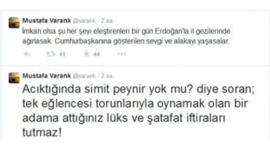 Varank&rsquo;tan Cumhurbaşkanı Erdoğan&rsquo;ı Eleştirenlere Tweetli Cevap