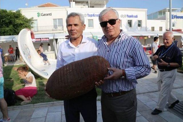 Bodrum Tarım Ve Gıda Festivali Başladı 1