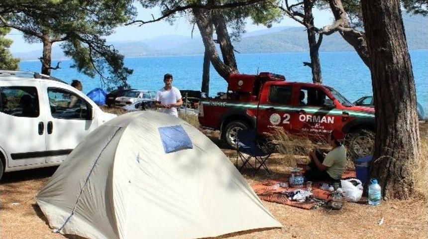 Piknik&ccedil;ilere Kene Uyarısı