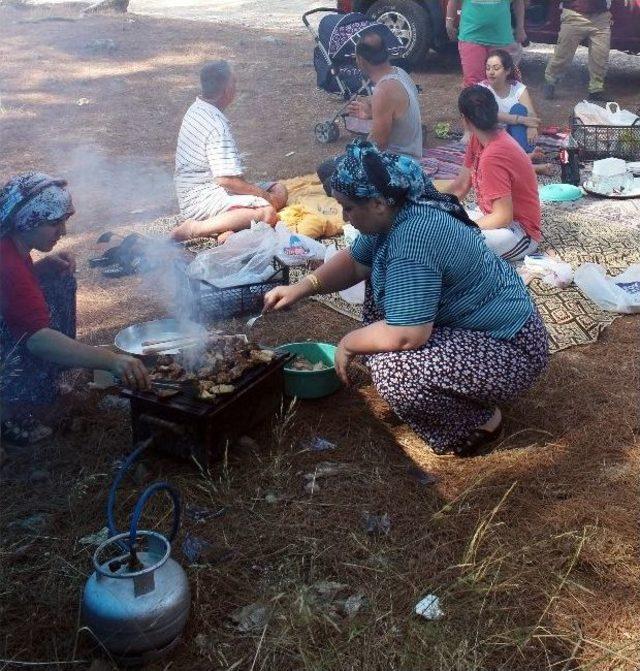 Piknik&ccedil;ilere Kene Uyarısı 2