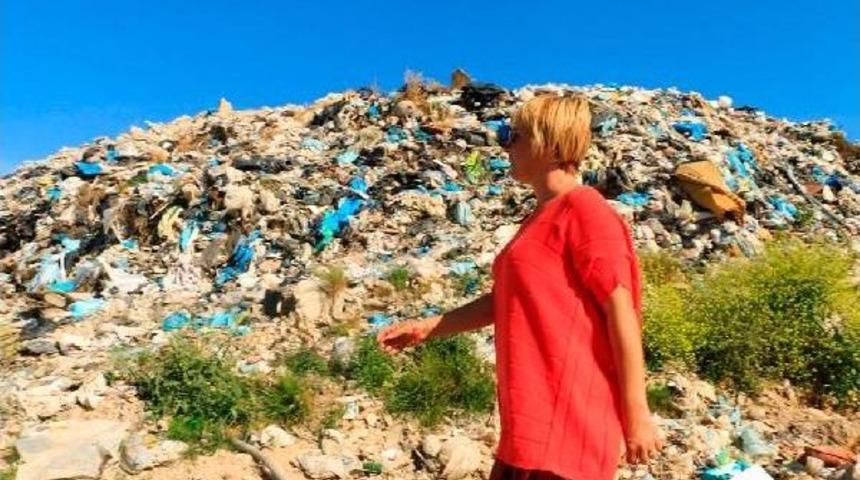 &Ccedil;&ouml;pl&uuml;ğe Terkedilen K&ouml;pekler I&ccedil;in Yasal Başvuru