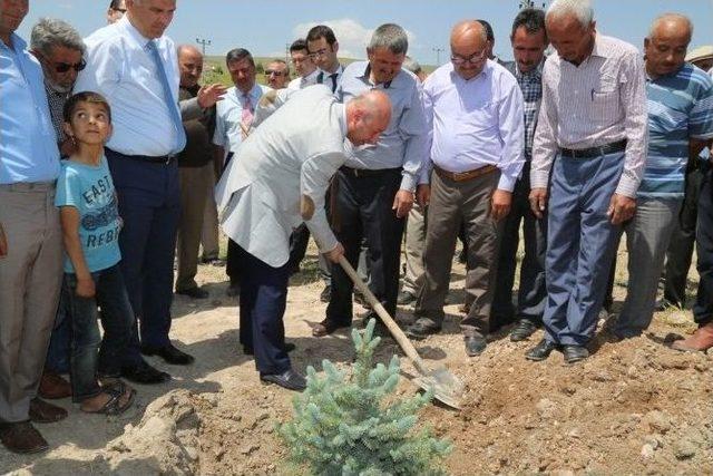 &Ccedil;olakbayrakdar, "ebi&ccedil;&rsquo;te 571 Fidan Diktik" 1