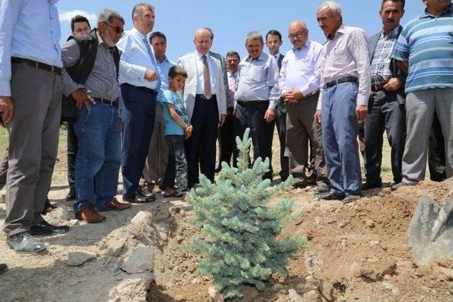 &Ccedil;olakbayrakdar, "ebi&ccedil;&rsquo;te 571 Fidan Diktik" 2