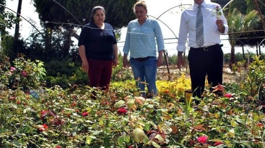 İncirliova Belediyesi Kendi Fidanlığını Kurdu
