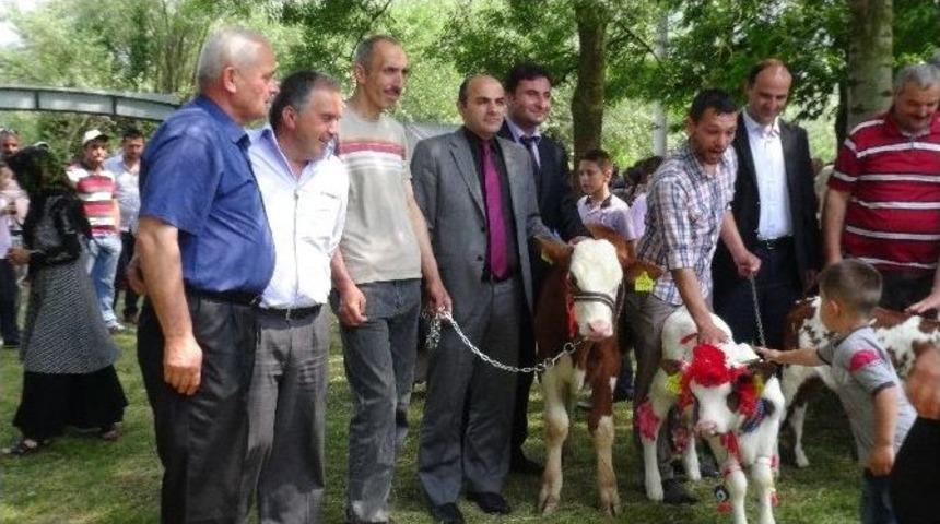 D&uuml;zce&rsquo;de D&uuml;nya S&uuml;t G&uuml;n&uuml; Kutlandı