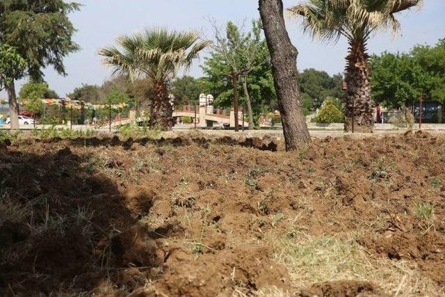 Buca’da Tarıma Engel Yok 1