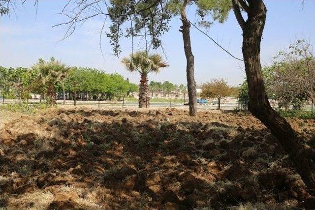 Buca’da Tarıma Engel Yok 2